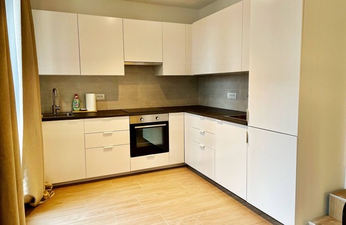 Klein-Antwerpen Apartment | One Lux Stay near Fashion District