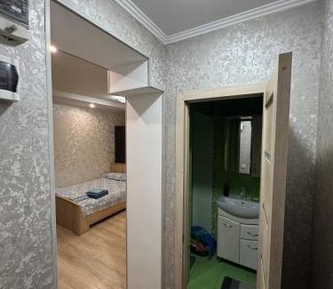 Tuzdybastau Apartment | One-room apartment opposite Almaty Airport