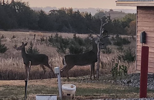 Crofton Cabin | One4-bedroom cabins with WiFi and AC in Crofton, NE. Reserve for one night/more.