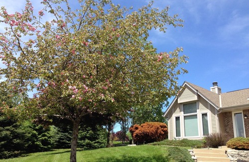 Merton House | Only 30 minutes from Milwaukee!