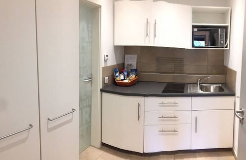 Mainz-Bingen Apartment | Oppenheim Lofts - Smart living above town, Loft 1