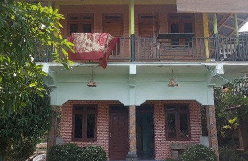 Bukit Lawang House | Orang Utan Jungle hiking