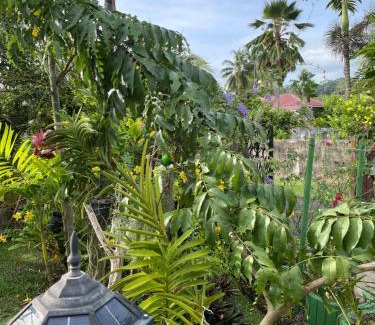Anse La Mouche House | Orchid Sunset Guest House