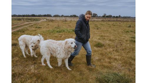 Mundoona House | Organic Farm Stay by Tiny Away