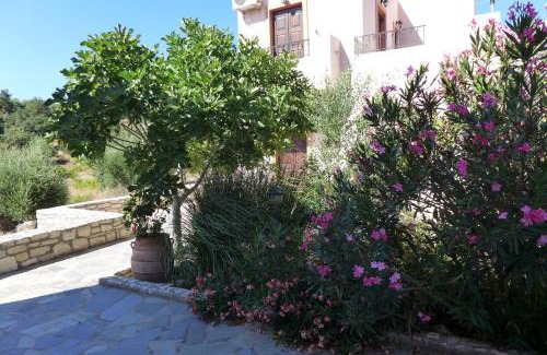 Axos Villa | Oros Villas