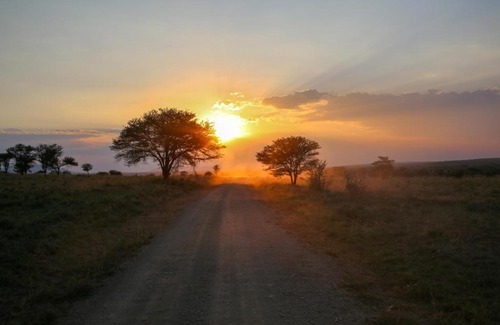 Serengeti National Park Other | Osero Serengeti Luxury Tented Camp
