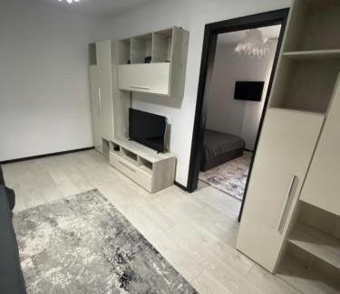 Ramnicu Valcea Apartment | Ostro Two Bedrooms