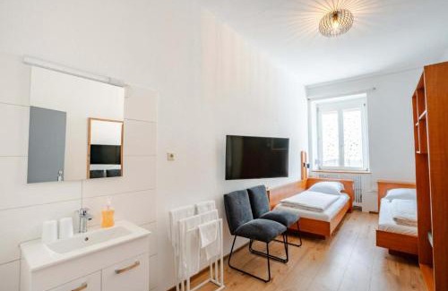Weil am Rhein Hotel | Ott's Hotel Weinwirtschaft & Biergarten Weil am Rhein/Basel