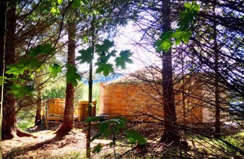 Saint John's Town of Dalry Other | Otter - Eco Bothy with Hot Tub