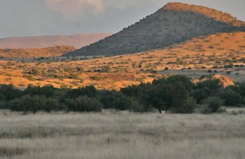 Kopanong Cabin | Otterskloof Private Game Reserve