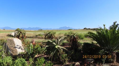 Herolds Bay Apartment | Oubaai Ocean View Private Self catering rooms Herolds Bay