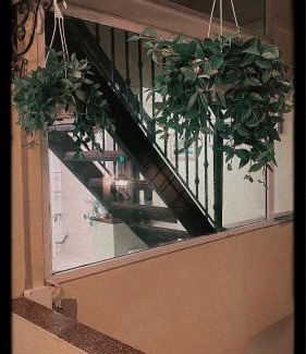 Hai Phong Apartment | Our HomeStay