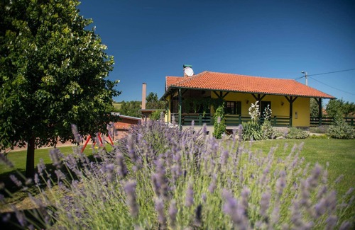 Orahovica House | Our house (*) is located in the Papuk Nature Park, near the lake.