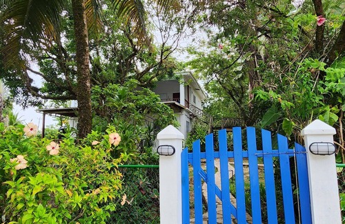 Forest Home Apartment | Our Sea of Blue Suite faces the Caribbean and awaits you