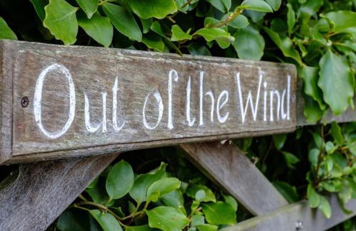 Rock House | Out of the Wind