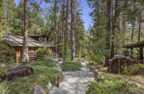 Idyllwild Ski Chalet | Owl Pine Cabin on Strawberry Creek
