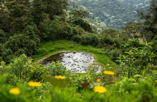 Manizales Cabin | Owl's Watch Nature Retreat