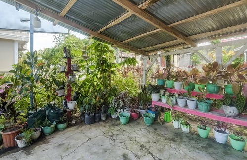 Manado City Centre House | OYO Homes 91148 Homesstay Desa Wisata Bahoi Near Ekowisata Mangrove Desa Bahoi