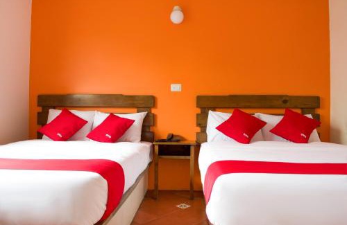 Xalapa Hotel | OYO Hotel Museo