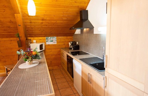 Oz House | Oz/Alpe d'Huez 110m slopes, up to 21 people, Hammam, en-suite bedrooms