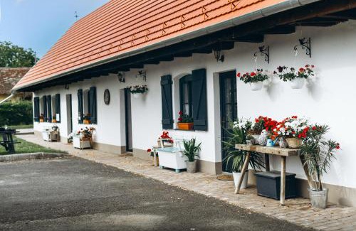 Marok Apartment | Pájlánd HÁZ -1770- Márok