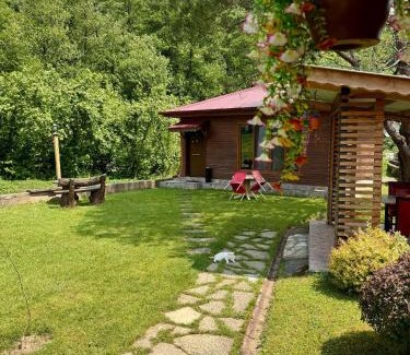 Arhavi House | pınar kır evi