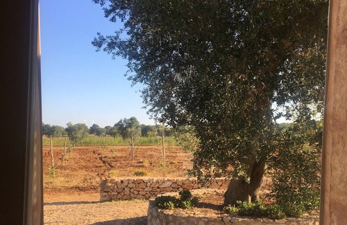 Porto Tricase House | Pajara il Carrubbo, typical Salento house