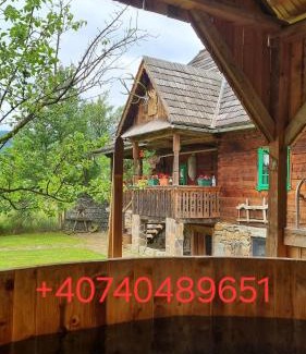 Viseu de Sus House | Pajisti Verzi/Green Meadows Guest House