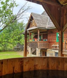 Viseu de Sus House | Pajisti Verzi/Green Meadows Guest House