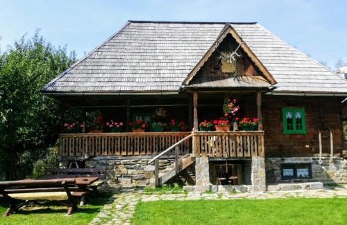 Viseu de Sus House | Pajisti Verzi/Green Meadows Guest House
