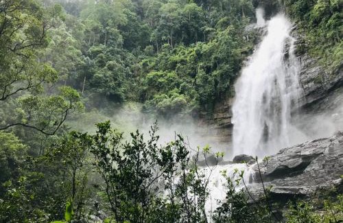 Ratnapura Hotel | Palabaddala Tea and Eco Lodge