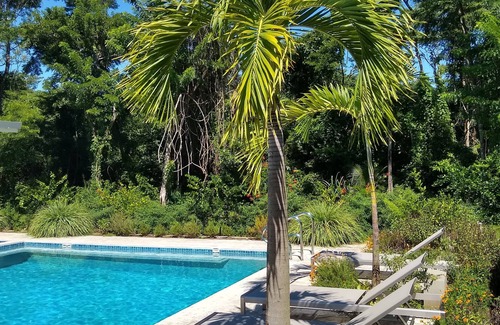 Palm Beach Estates Apartment | Palm Beach Inn