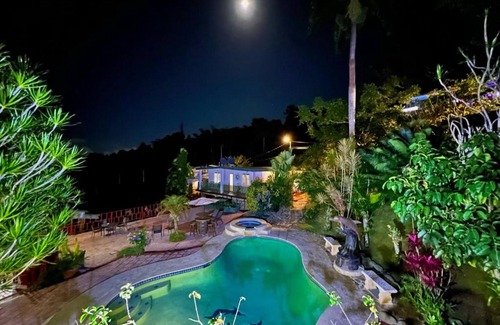 Lomas House | Pancho's Paradise - Rainforest Guesthouse with Pool, Gazebo and View