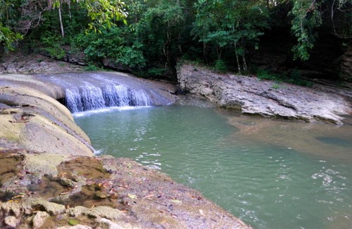 Quezon Other | Pandora Glamping