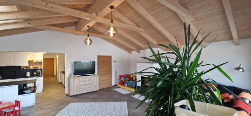 Neumarkt in Steiermark Apartment | Panorama Apartment bei Familie Schoahs