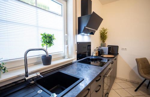Eiserfeld Apartment | Panorama am Fluss - Traum Quartier Apartments