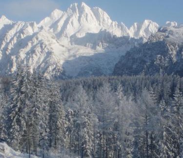 Strbske Pleso Apartment | Panorama Apartmany