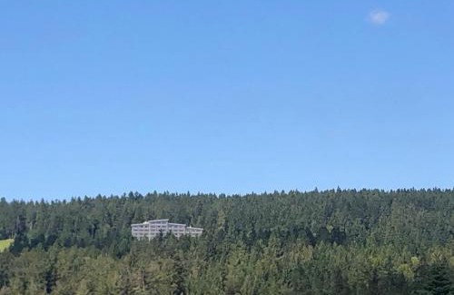 Neureichenau Apartment | Panorama Bayerwald