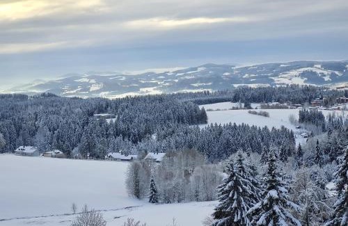 Neureichenau Apartment | Panorama Bayerwald