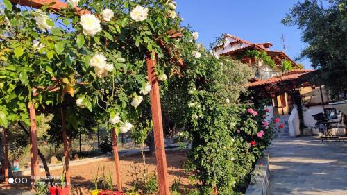 Eretria Apartment | Panorama