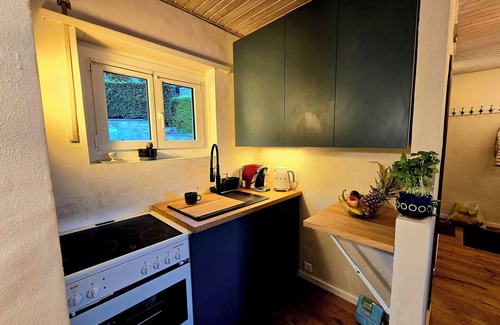 Orselina Apartment | Panoramic apartment Lake Maggiore Locarno Ticino