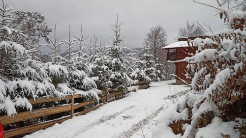 Viseu de Sus House | Panoramic Chalet