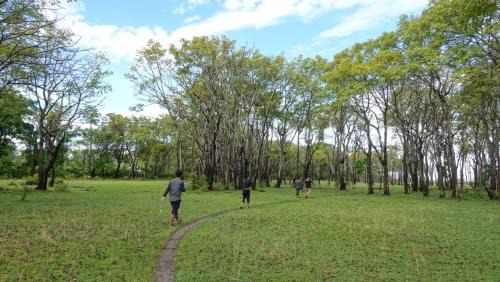 Sulawesi House | Pantai Alfath Stira ParADIse Resort