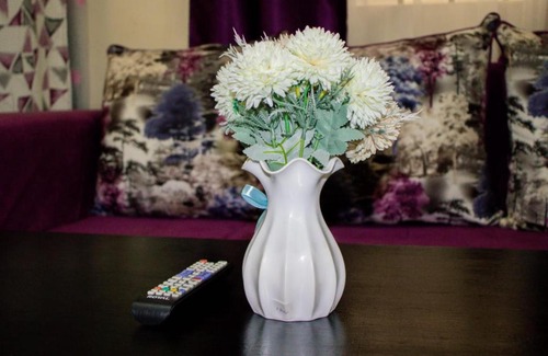 Embu Bed & Breakfast | Paradise apartments