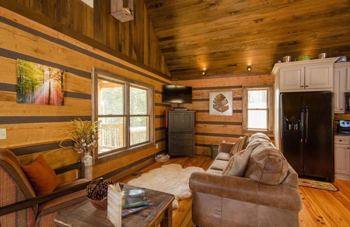 Waynesville Cabin | Paradise at the Rivers Edge! A Private Waterfront Log Cabin,snow ski/fish nearby