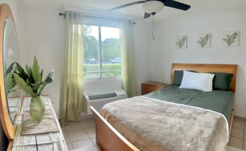 Rio Grande Apartment | Paradise Gem at Mar