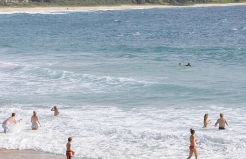Mollymook Cabin | Paradise in Mollymook