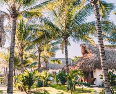 El Paredon Hotel | Paredon Surf House