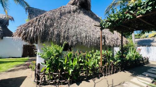 El Paredon Hotel | Paredon Surf House