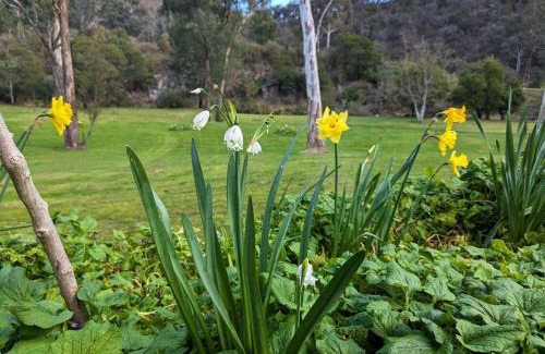 Dargo House | Parsons Flat River Barn